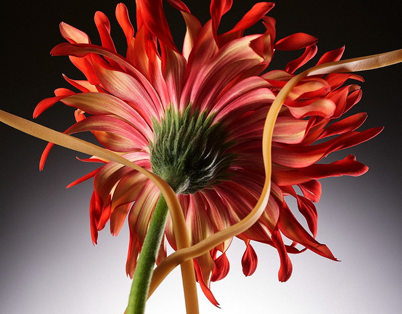 Пожилые супруги из Омской области потеряли 150 тысяч рублей после звонка лжеоператора